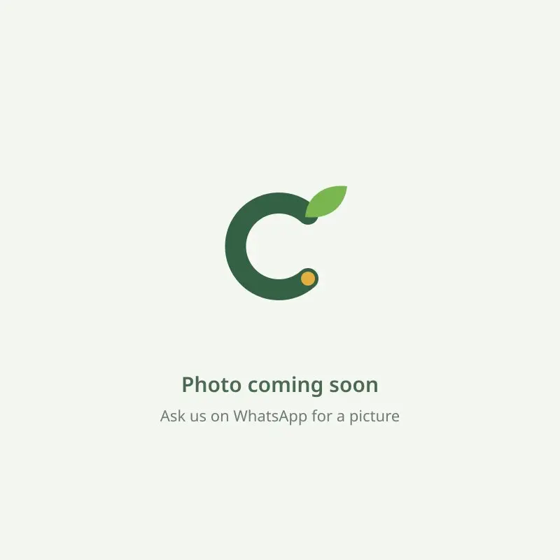 Placeholder